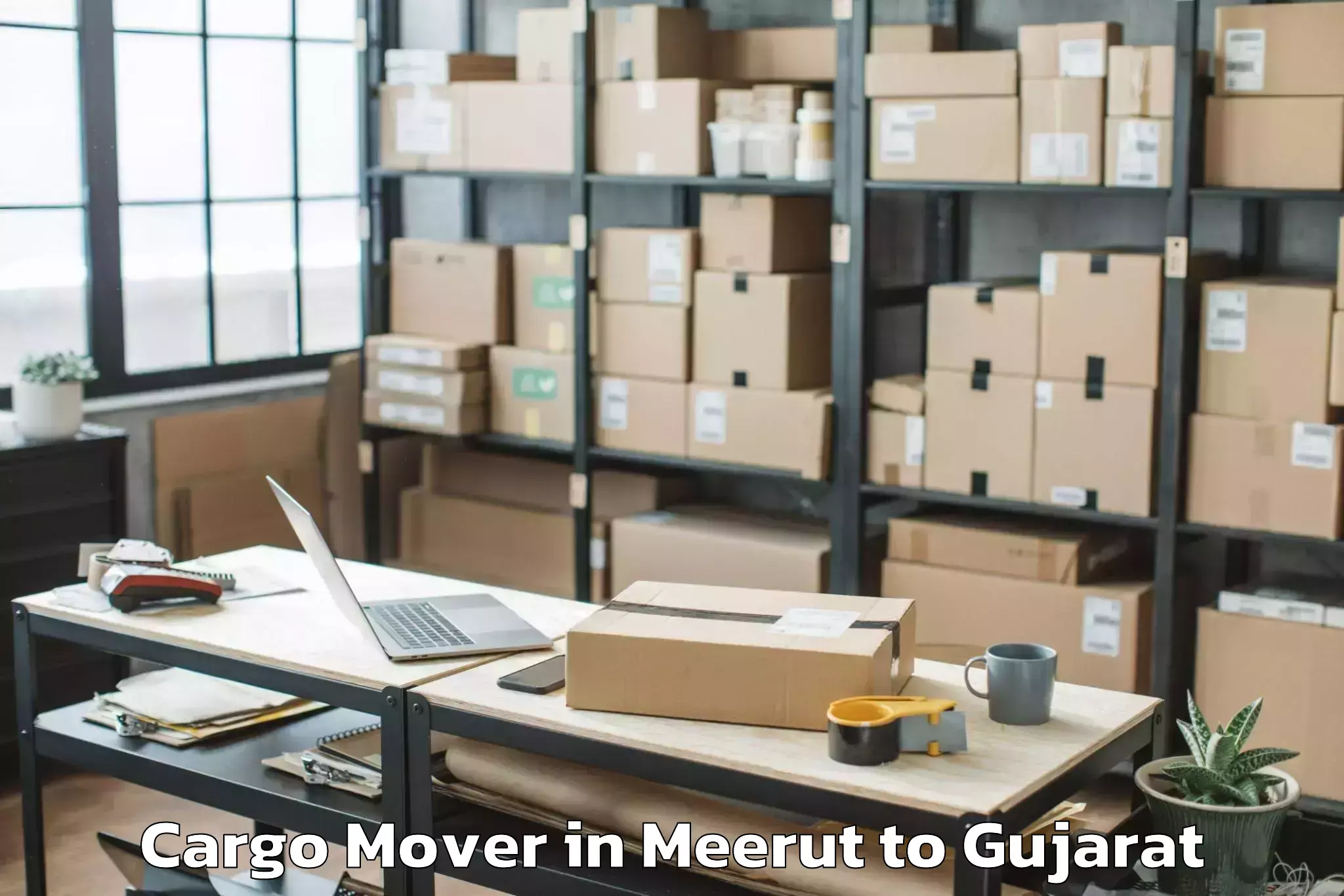 Easy Meerut to Veer Narmad South Gujarat Univ Cargo Mover Booking